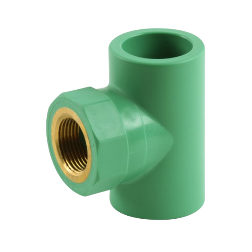 Internal tooth section from Convert - 32 x 1/2 ml - Green
