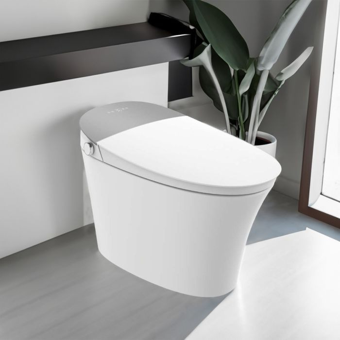 SMART TOILET WC - F21