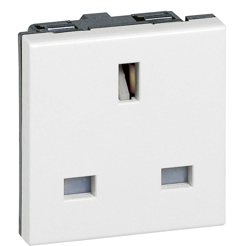 13 Amp Fish - 2 Units