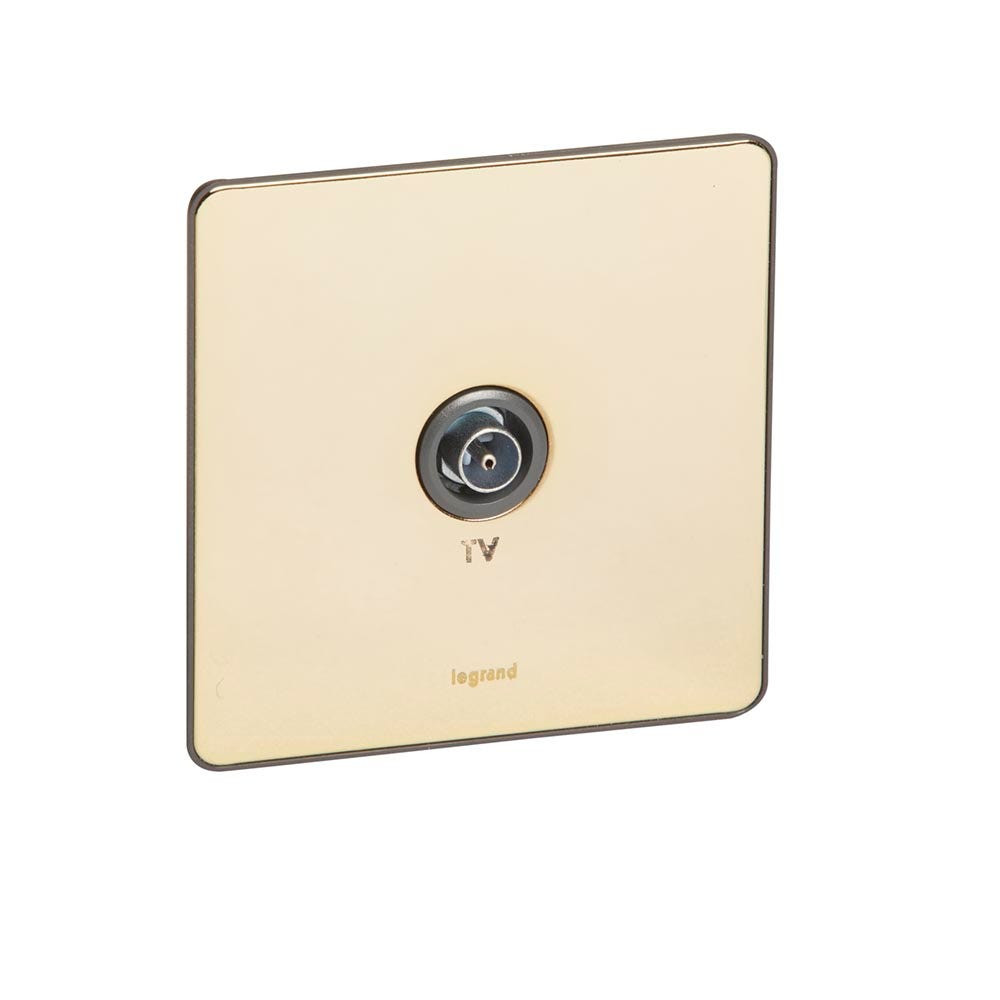 LEGRAND - TV Socket Synergy, Single Male