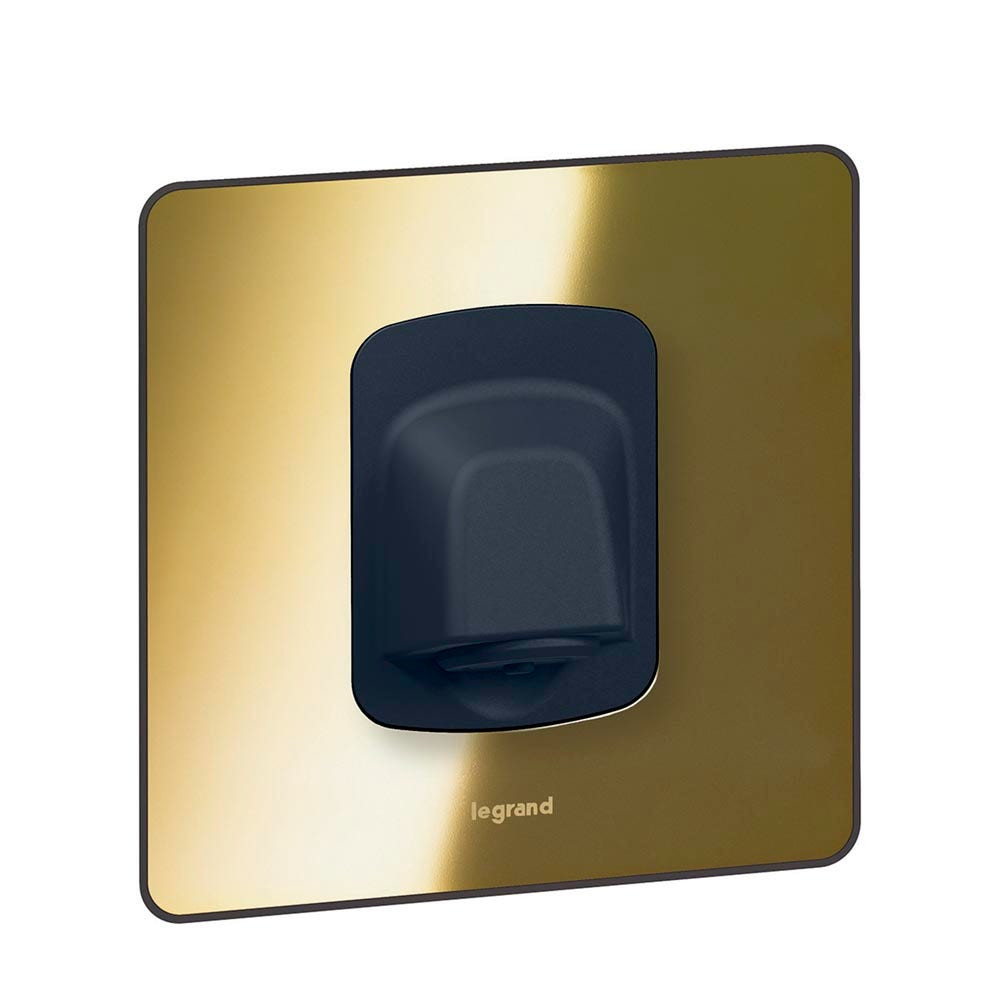 LEGRAND - Cable Outlet Synergy, 20 A 250 V~ 