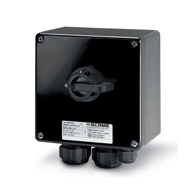 SCAME - Enclosed Switch Disconnector, 40A, 2P, IP66, 250x255x120mm, II  2GD, GRP, General, Grey