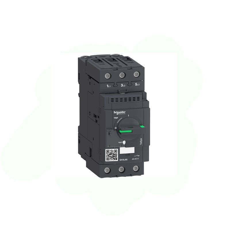 SCHNEIDER - Magnetic Motor Circuit Breaker 65A Everlink