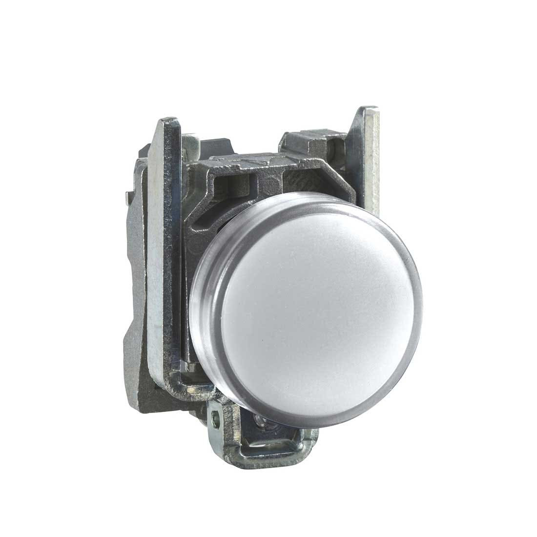 SCHNEIDER - White Complete Pilot Light ˜22 Plain Lens With Integral Led 24V