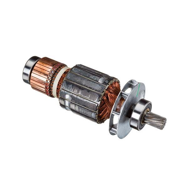 RIDGID - Armature, 230V, Biased CCW