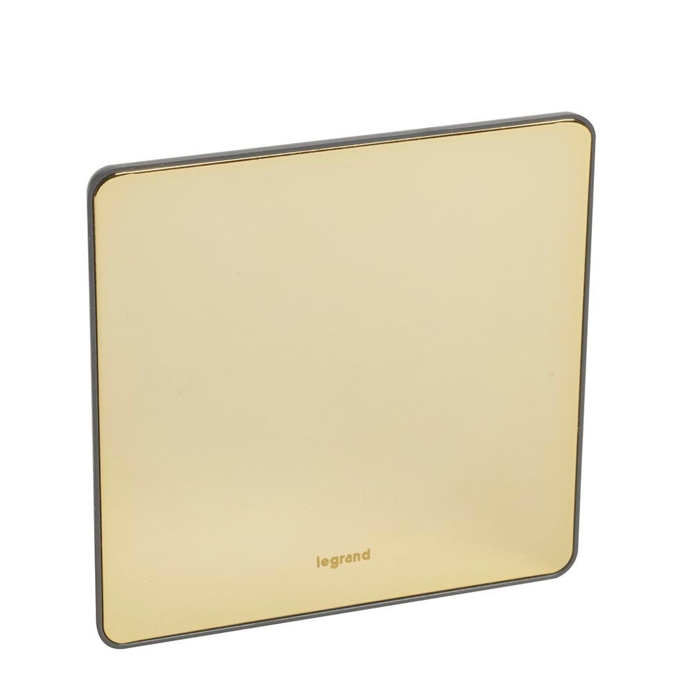LEGRAND - Blanking Plate Synergy, 1 Gang