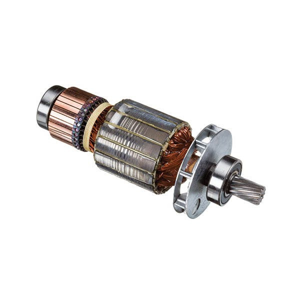 RIDGID - Armature Assembly, 230V