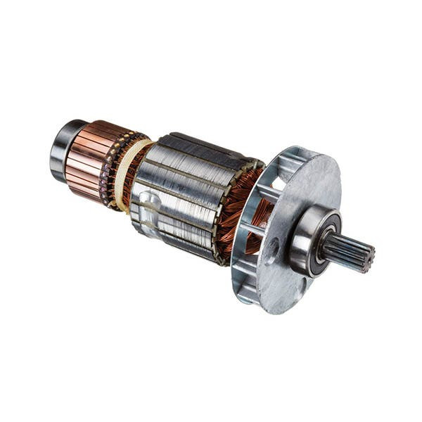 RIDGID - Armature, 230V