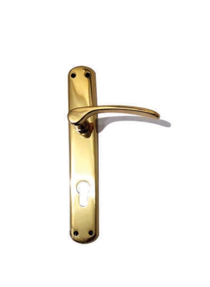 Kali 708 Polished Brass Door Handle