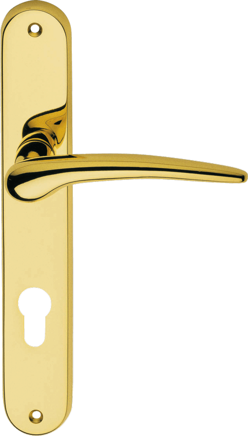 Kali Door Handle Gold No. 925