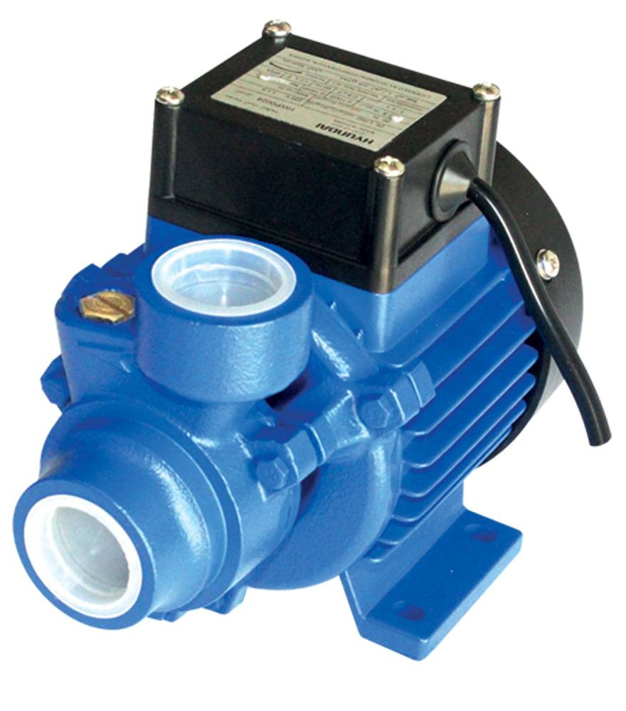 Home Water Pump (1/4 HP * 1") | Hyundai