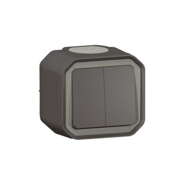 LEGRAND - Switch/Push-Button Plexo, IP55, 2 Gang, 2 Way, 10A, Surface Mounting, Anthracite