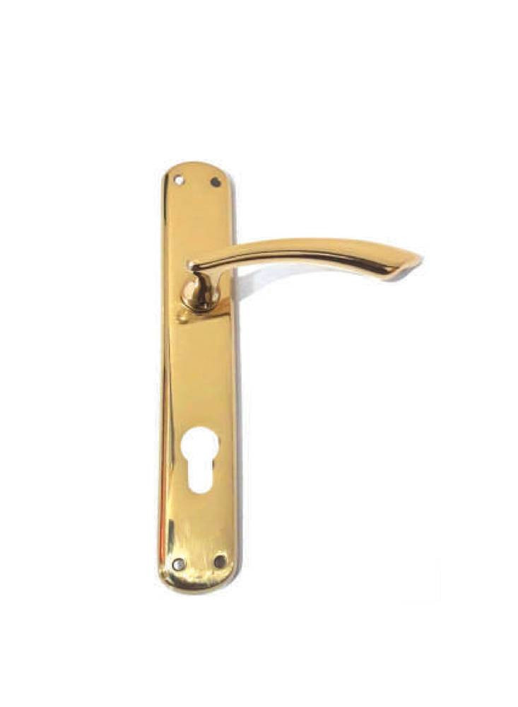 Kali 524 Polished Brass Door Handle